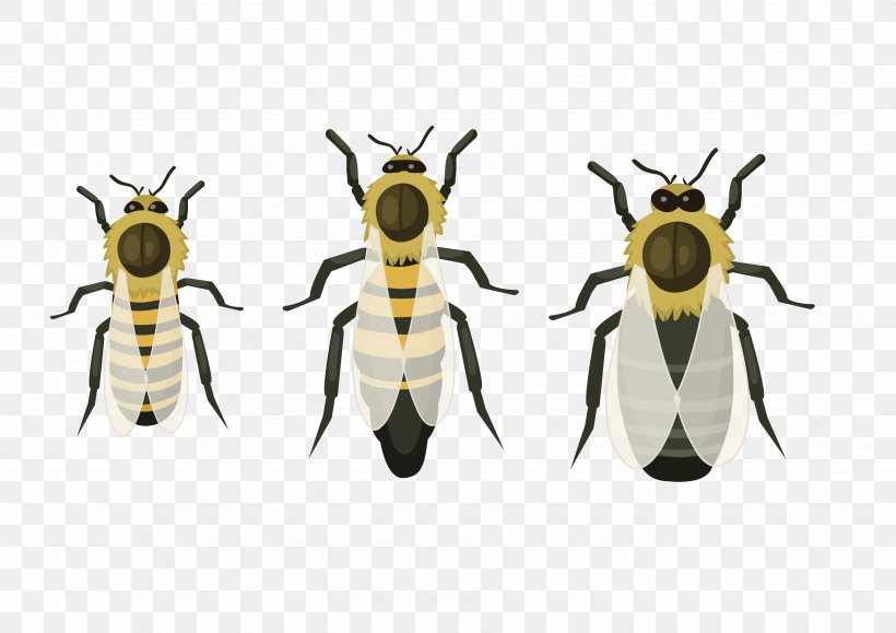 Honey Bee Pest, PNG, 3508x2480px, Honey Bee, Arthropod, Bee, Honey, Insect Download Free