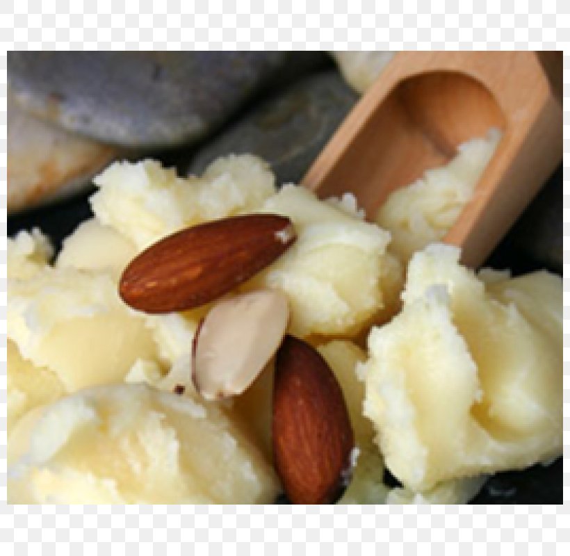 Almond Oil Almond Butter Cocoa Butter, PNG, 800x800px, Oil, Almond, Almond Butter, Almond Oil, Apricot Download Free