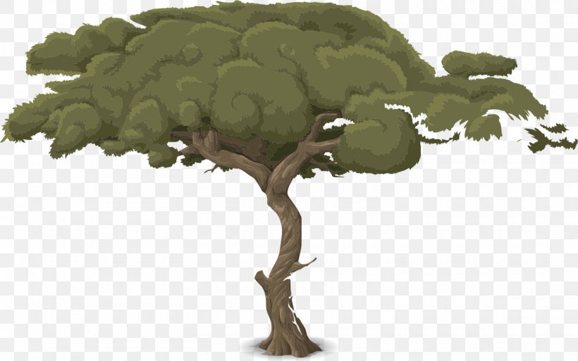 Animation Clip Art, PNG, 1560x977px, Animation, Branch, Drawing, Grass, Houseplant Download Free