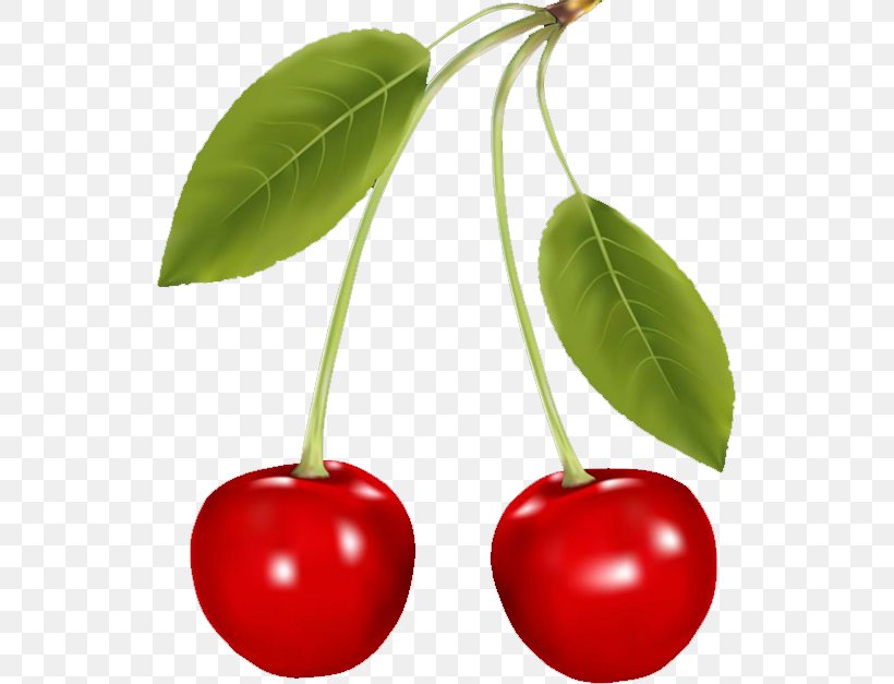 Berry Cherry Fruit, PNG, 533x627px, Berry, Acerola, Acerola Family, Cerasus, Cherry Download Free