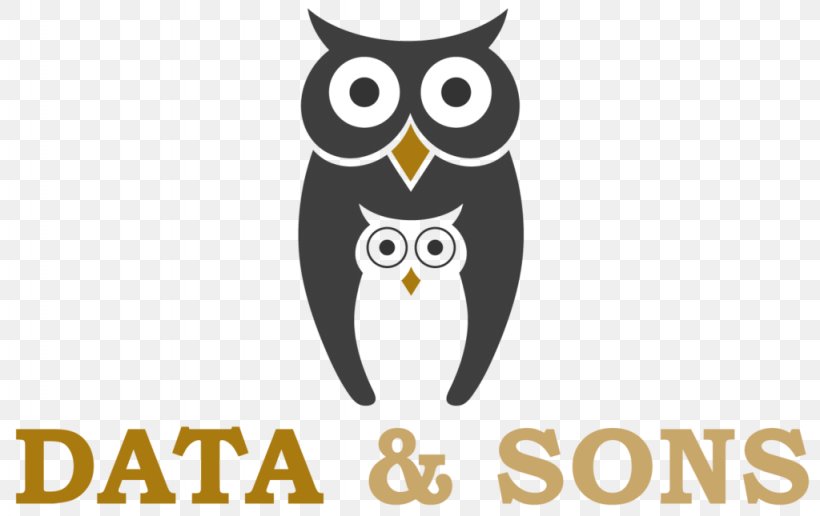 Data Sons Logo Tampa Bay Wave Brand, PNG, 1024x645px, Logo, Beak, Bird, Bird Of Prey, Brand Download Free