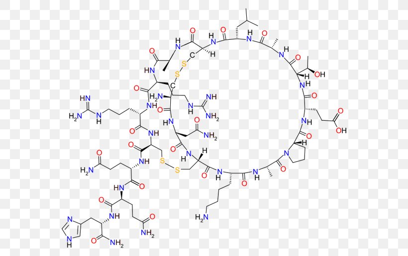 Honey Bee Apitoxin Apamin Venom, PNG, 620x515px, Bee, Amino Acid, Apamin, Apitoxin, Area Download Free