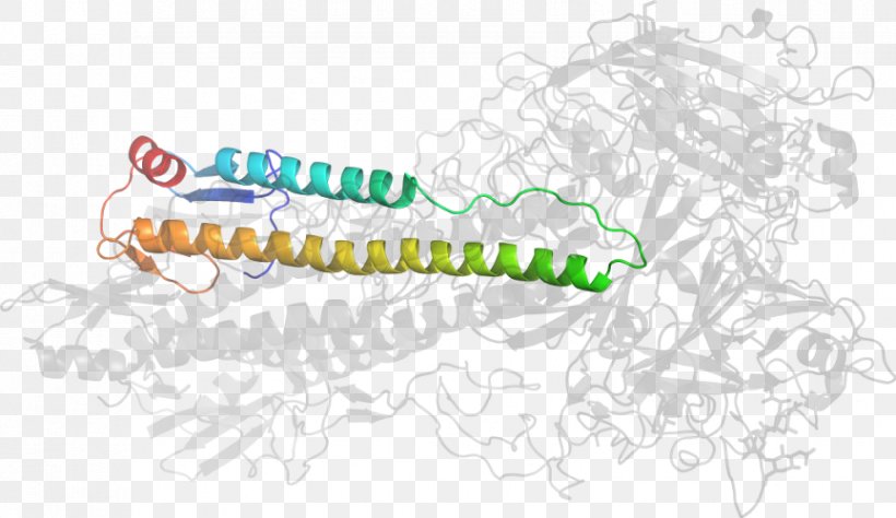 Insect Line Point, PNG, 864x500px, Insect, Area, Diagram, Invertebrate, Organism Download Free