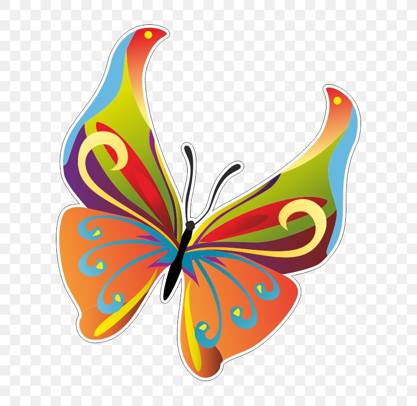 Butterfly Insect Vector Graphics Clip Art, PNG, 800x800px, Butterfly, Arthropod, Brush Footed Butterfly, Insect, Invertebrate Download Free
