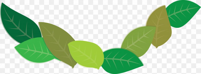 Leaf Plant Stem Green Meter Plants, PNG, 2999x1112px, Leaf, Biology, Green, Meter, Plant Stem Download Free