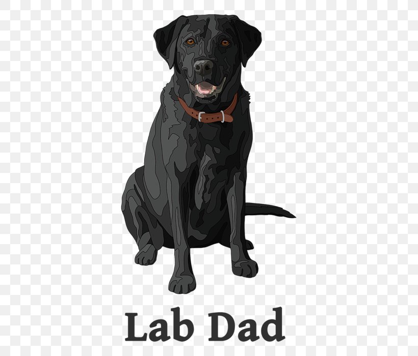 Labrador Retriever Flat-Coated Retriever Dog Breed Companion Dog T-shirt, PNG, 583x700px, Labrador Retriever, Borador, Breed, Carnivoran, Clothing Download Free