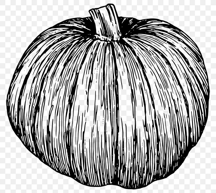 Candy Pumpkin Cucurbita Black And White Jack-o'-lantern, PNG, 800x733px, Pumpkin, Black And White, Candy Pumpkin, Cucurbita, Drawing Download Free