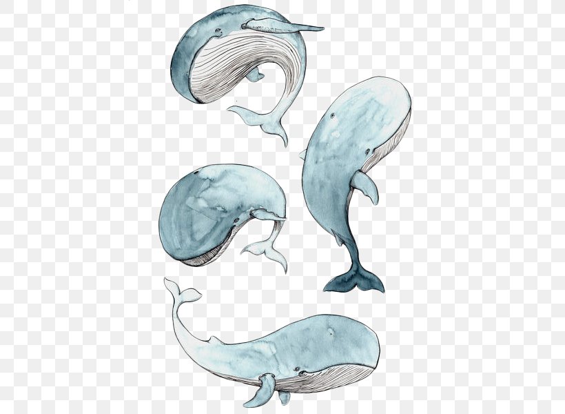 Cetacea Drawing Baby Whale Watercolor Painting Illustration, PNG, 450x600px, Cetacea, Art, Baby Whale, Blue Whale, Dolphin Download Free