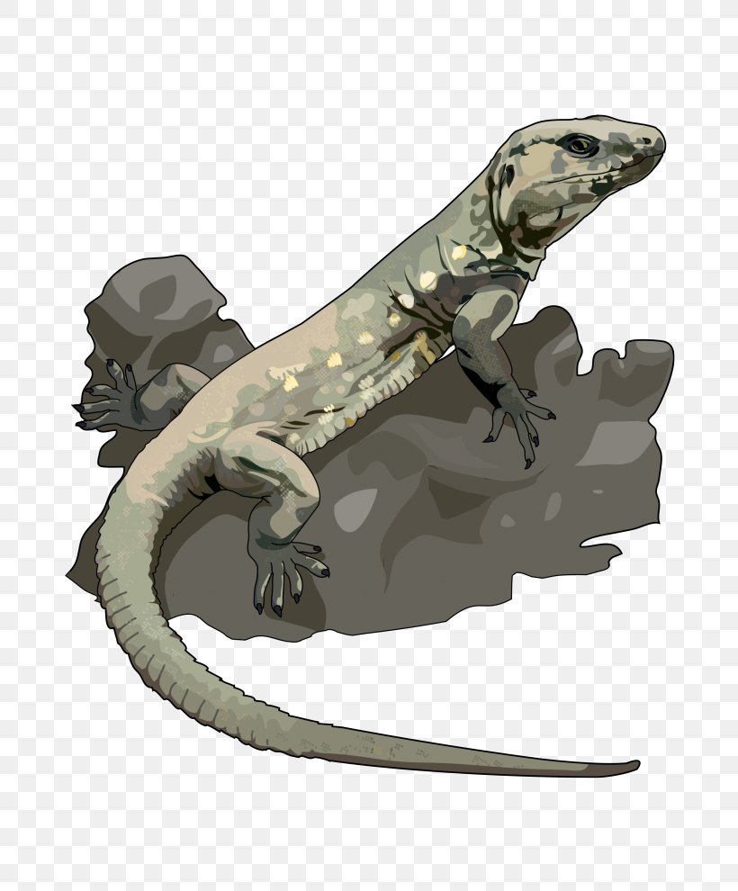 El Hierro Giant Lizard El Hierro Giant Lizard Reptile Tenerife Speckled Lizard, PNG, 700x990px, Lizard, Canary Islands, Drawing, Education, El Hierro Download Free