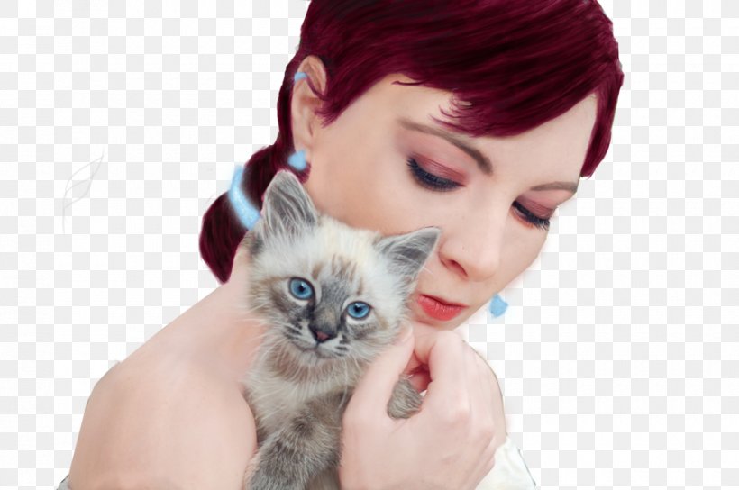 Kitten Whiskers Cat Eye Ear, PNG, 900x598px, Kitten, Carnivore, Cat, Ear, Eye Download Free