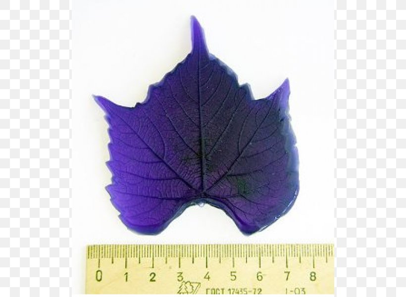 Leaf Purple, PNG, 600x600px, Leaf, Plant, Purple, Violet Download Free