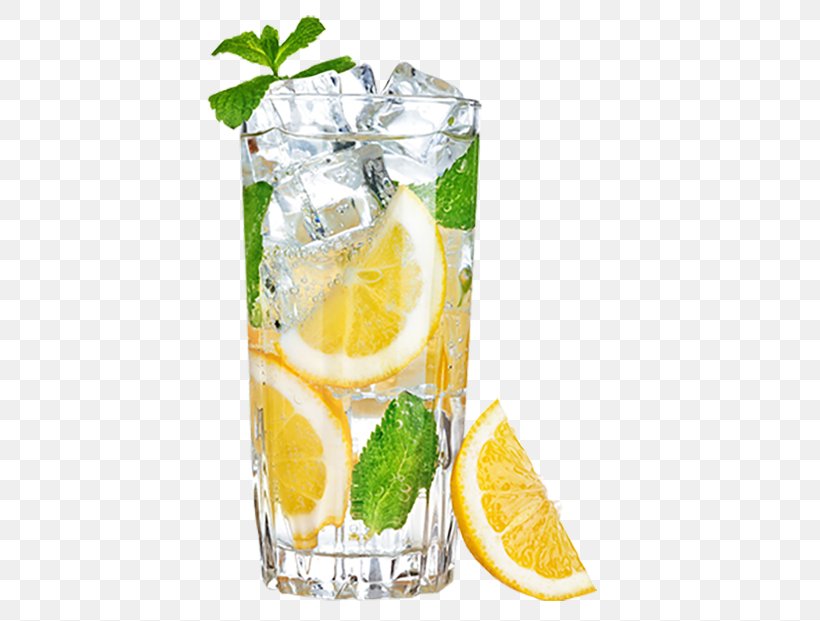 Lemonade Lemon-lime Drink Water, PNG, 407x621px, Lemonade, Citric Acid, Citrus, Cocktail, Cocktail Garnish Download Free