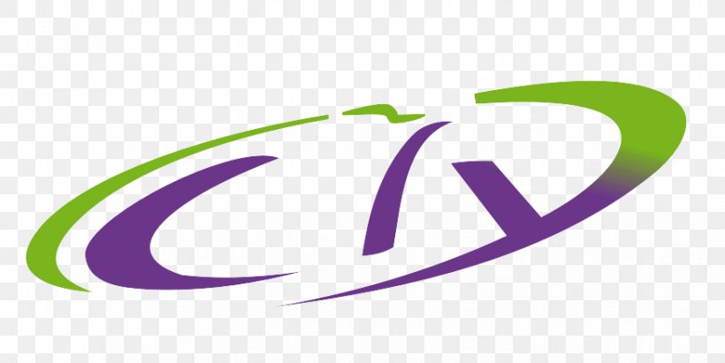 Logo Brand Font, PNG, 875x439px, Logo, Brand, Green, Purple, Symbol Download Free