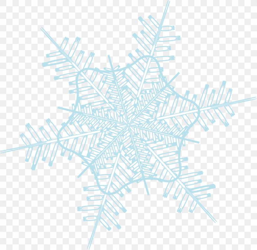 Snowflake Euclidean Vector, PNG, 901x877px, Snowflake, Blue, Concepteur, Designer, Gratis Download Free
