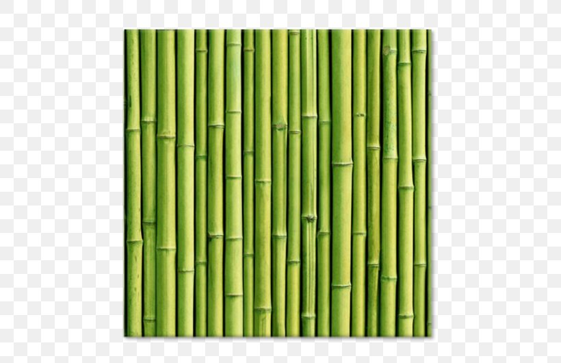 Tropical Woody Bamboos Paper Bamboo Forest Lucky Bamboo Wallpaper, PNG, 750x530px, Tropical Woody Bamboos, Bamboo, Bamboo Forest, Fototapet, Grass Download Free