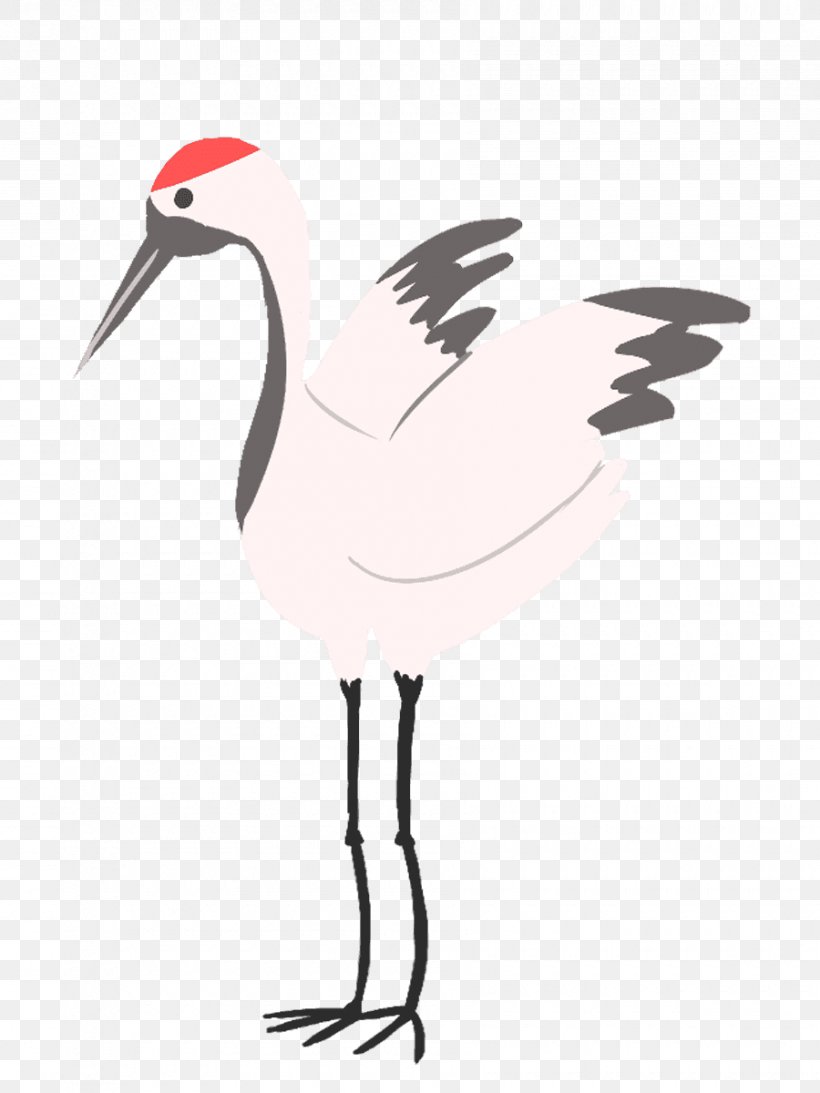 White Stork Bird Wader Beak Ibis, PNG, 900x1200px, White Stork, Beak, Bird, Ciconiiformes, Crane Download Free