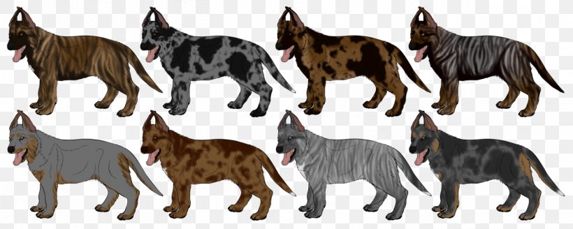 Cat Dog Breed Tail Wildlife, PNG, 1411x566px, Cat, Animal, Animal Figure, Breed, Carnivoran Download Free