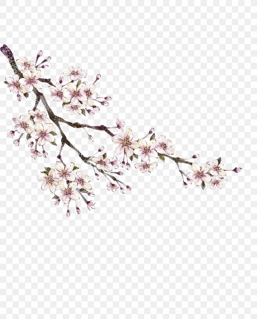 Common Plum Download Peach, PNG, 953x1181px, Common Plum, Abstract Art, Blossom, Branch, Cherry Blossom Download Free