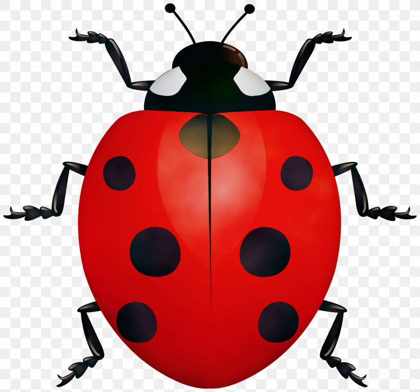Ladybugs Beetles Vector Drawing Seven-spot Ladybird, PNG, 3000x2799px, Watercolor, Beetles, Cartoon, Drawing, Insects Download Free