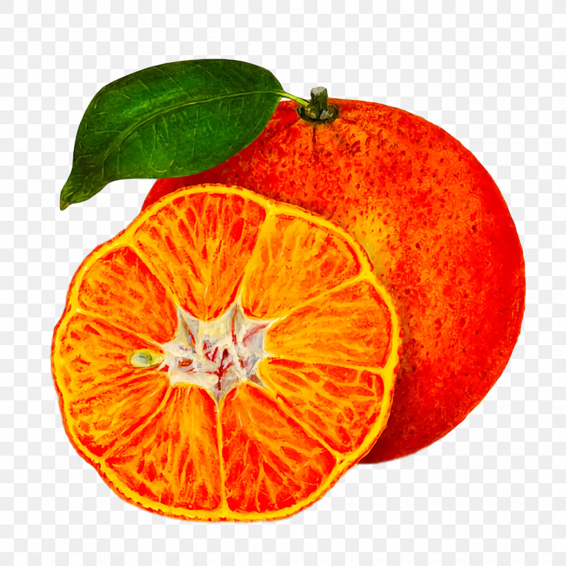 Orange, PNG, 1440x1440px, Blood Orange, Bitter Orange, Clementine, Grapefruit, Mandarin Orange Download Free