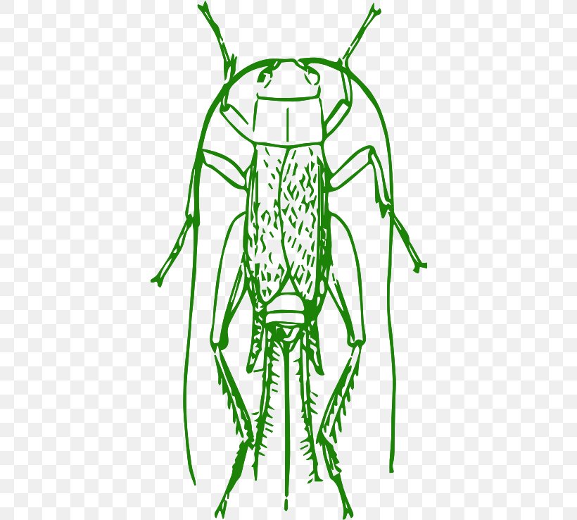 Pharmore Pest Control Drawing Clip Art, PNG, 394x738px, Pharmore Pest Control, Artwork, Biology, Black And White, Cricket Download Free