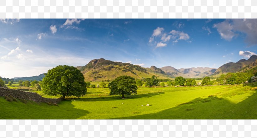 Yorkshire Dales Manchester Airport Lake District Leeds Bradford Airport, PNG, 1228x662px, Yorkshire Dales, Airport, England, Farm, Field Download Free