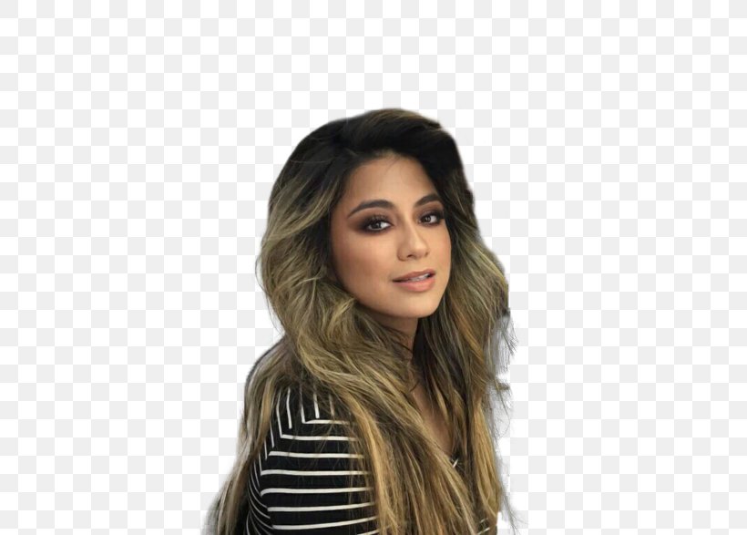 Ally Brooke Fifth Harmony PSA Tour The X Factor (U.S.) Hair, PNG, 500x587px, Watercolor, Cartoon, Flower, Frame, Heart Download Free