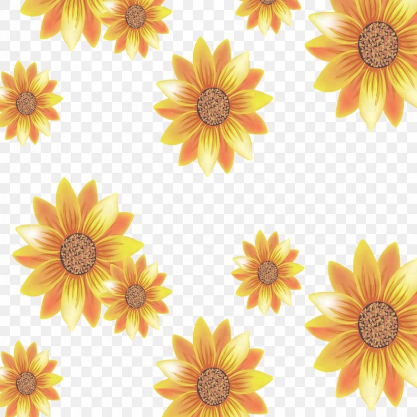 Common Sunflower Yellow, PNG, 1181x1181px, Common Sunflower, Calendula, Dahlia, Daisy, Daisy Family Download Free