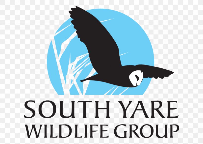 Forest School Logo Wildlife Garden Project, PNG, 827x591px, Forest School, Artwork, Beak, Bird, Brand Download Free