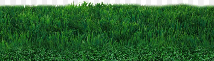 Lawn Football Pitch Artificial Turf, PNG, 960x275px, Lawn, Aerosol Paint, Aerosol Spray, Artificial Turf, Athletics Field Download Free