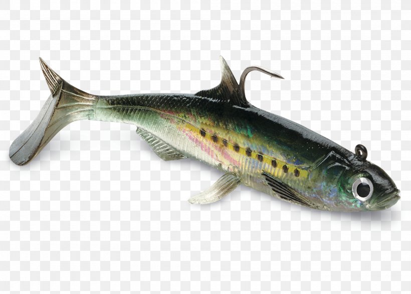 Sardine Fishing Baits & Lures Rapala, PNG, 2000x1430px, Sardine, American Shad, Anchovy, Bony Fish, Fin Download Free