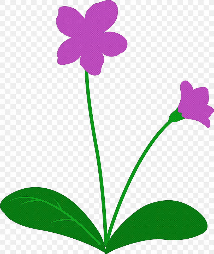 Violet Flower, PNG, 2523x3000px, Violet Flower, Flower, Leaf, Orchids, Petal Download Free