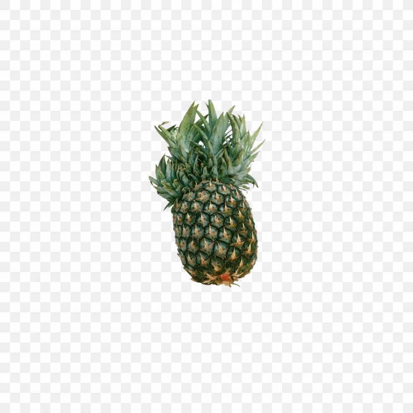 Auglis Pineapple, PNG, 1969x1969px, Auglis, Ananas, Bromeliaceae, Color, Flowerpot Download Free