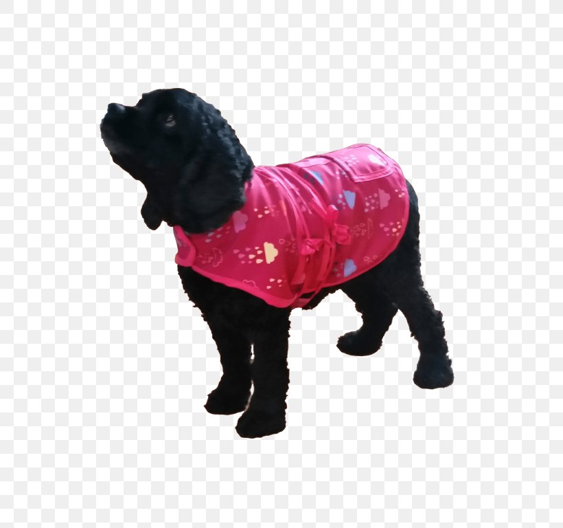 Dog Breed Puppy Coat Wool, PNG, 768x768px, Dog Breed, Carnivoran, Clothing, Coat, Dog Download Free