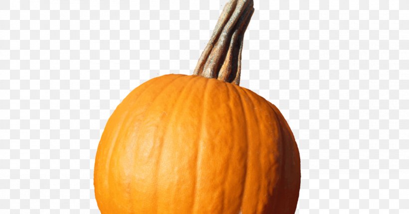 Pumpkin Winter Squash Cucurbita GOURD+m, PNG, 1200x630px, Pumpkin, Calabaza, Cucurbita, Gourd, Gourdm Download Free