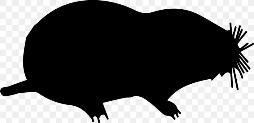 Rat Moles Shape Animal Mammal, PNG, 981x476px, Rat, Animal, Beak, Black, Black And White Download Free