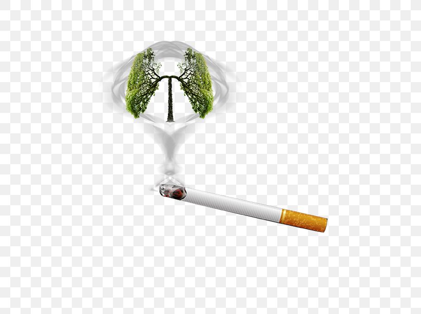 Smoking Cessation Smoking Ban Cigarette, PNG, 595x612px, Watercolor, Cartoon, Flower, Frame, Heart Download Free