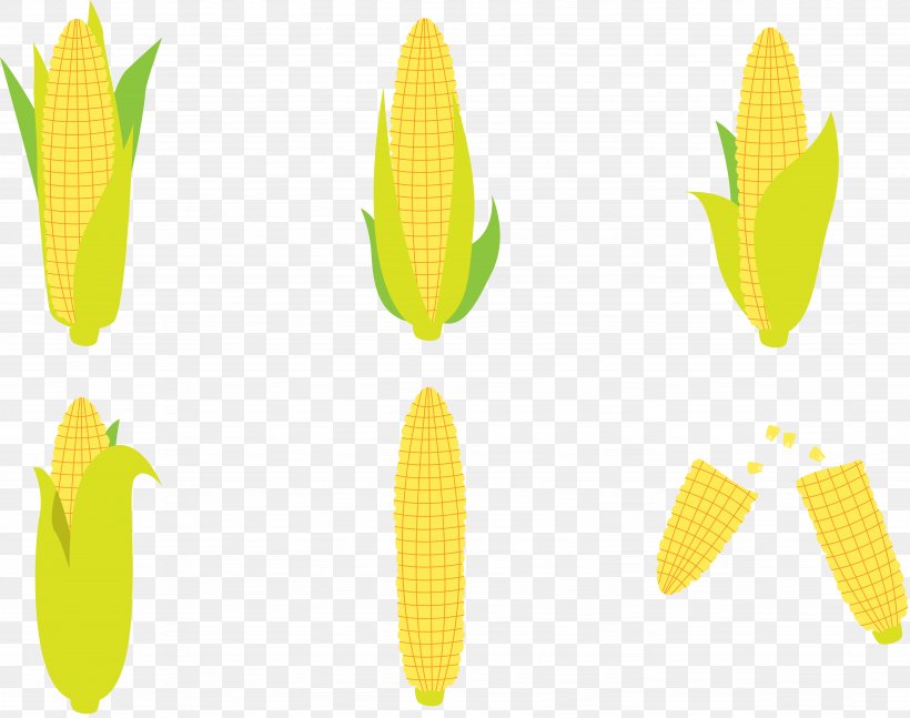 Corn Flakes Maize Corn On The Cob, PNG, 4916x3881px, Corn On The Cob, Commodity, Corn Flakes, Corncob, Ear Download Free