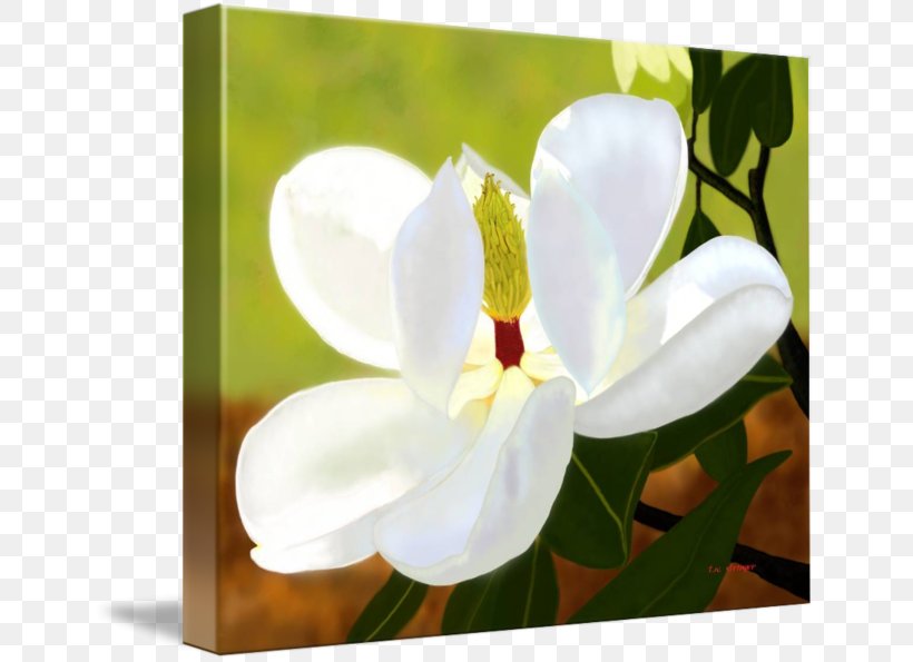 Moth Orchids Art Digital Painting Photo Manipulation, PNG, 650x595px, Moth Orchids, Art, Blossom, Digital Painting, Flower Download Free