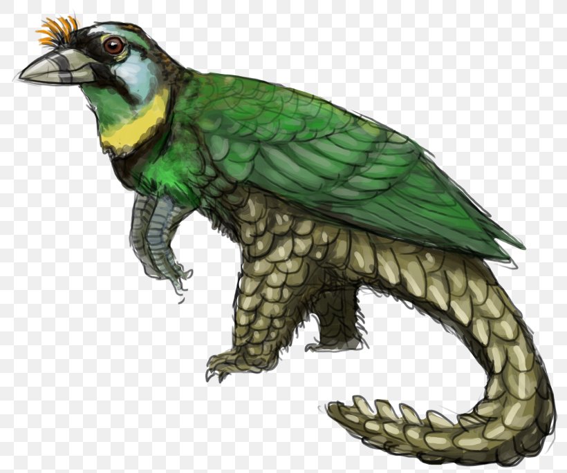 Parrot Macaw Beak Feather Wing, PNG, 800x685px, Parrot, Beak, Bird, Cuckoos, Cuculiformes Download Free