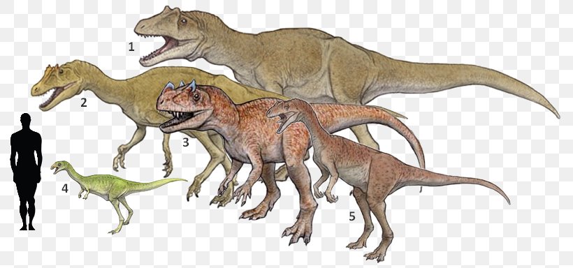 Deltadromeus Bahariasaurus Elaphrosaurus Ceratosaurus Tyrannosaurus, PNG, 810x384px, Deltadromeus, Animal, Animal Figure, Bahariasaurus, Carnivoran Download Free