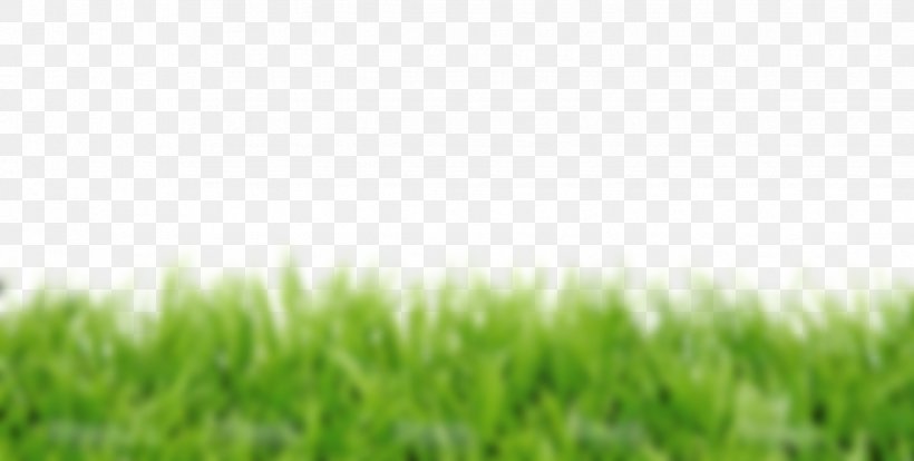 Lawn Royalty-free Stock Photography Fotolia, PNG, 1235x624px, Lawn, Artificial Turf, Crop, Depositphotos, Field Download Free