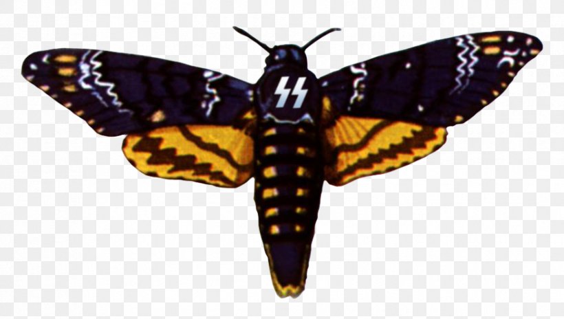Monarch Butterfly African Death's Head Hawkmoth Insect, PNG, 877x497px, Monarch Butterfly, Arthropod, Brush Footed Butterfly, Brushfooted Butterflies, Butterflies And Moths Download Free