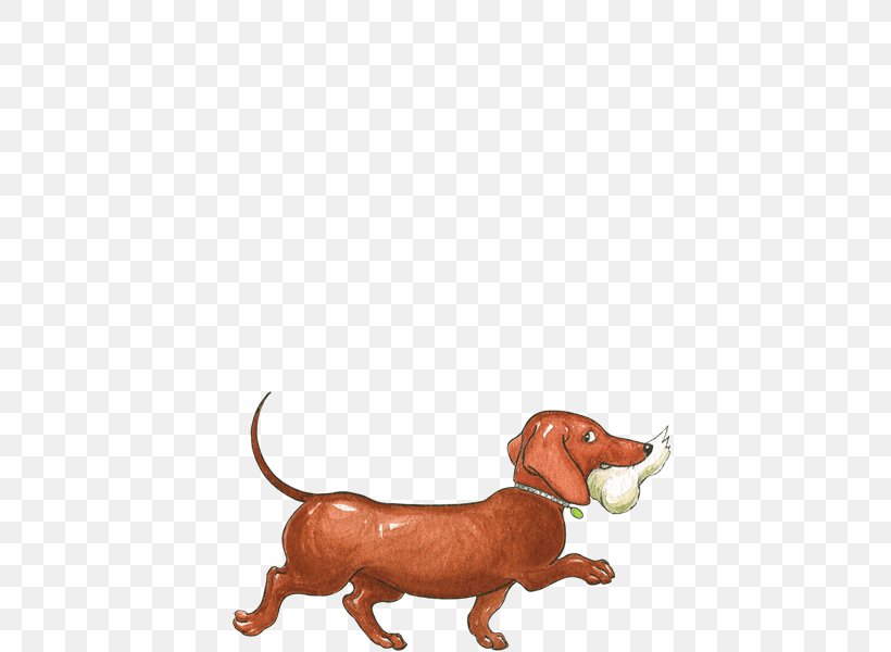 Hairy Maclary From Donaldson's Dairy Schnitzel Von Krumm, Dogs Never Climb Trees Dachshund, PNG, 600x600px, Schnitzel Von Krumm, Bitzer Maloney, Book, Carnivoran, Child Download Free