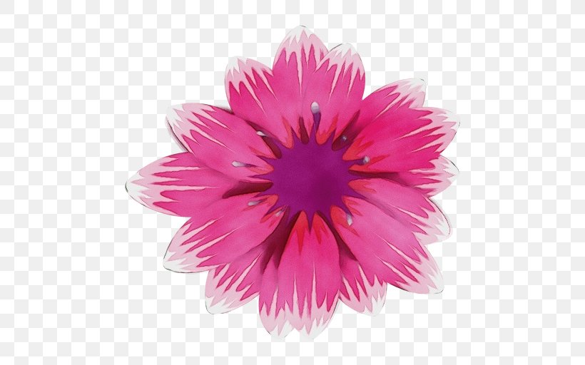 Pink Petal Flower Gerbera Plant, PNG, 512x512px, Watercolor, Aster, Daisy Family, Flower, Flowering Plant Download Free