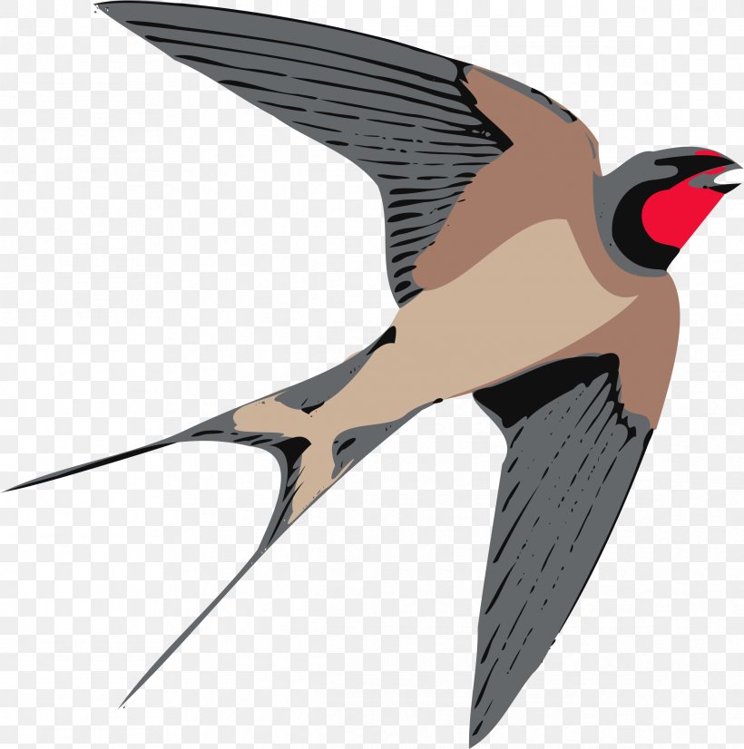 Swallow Bird Clip Art, PNG, 2382x2400px, Swallow, Barn Swallow, Beak, Bird, Blog Download Free