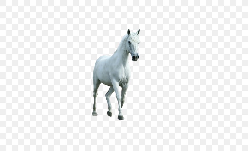 White Horse Transparency And Translucency, PNG, 500x500px, 3d Computer Graphics, Horse, Animal Figure, Colt, Figurine Download Free