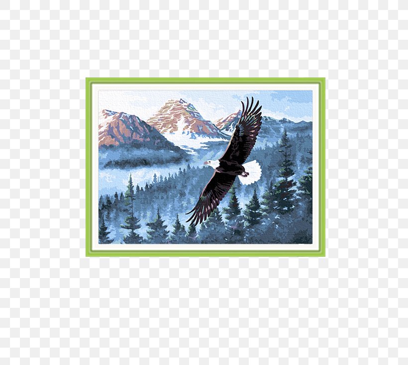 Bald Eagle Oil Painting Art, PNG, 741x735px, Bald Eagle, Art, Beak, Bird, Bird Of Prey Download Free