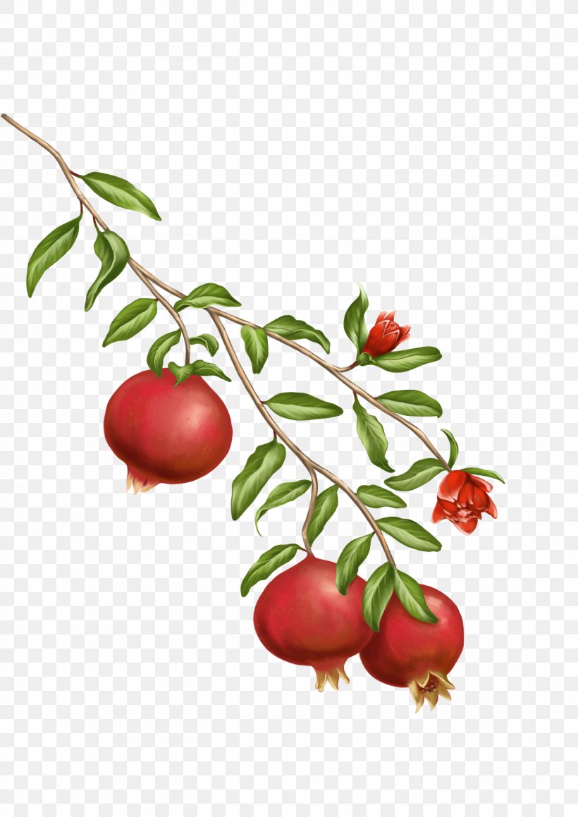 Barbados Cherry Pomegranate Juice Lingonberry Shower Gel, PNG, 1354x1915px, Barbados Cherry, Acerola, Acerola Family, Apple, Berry Download Free