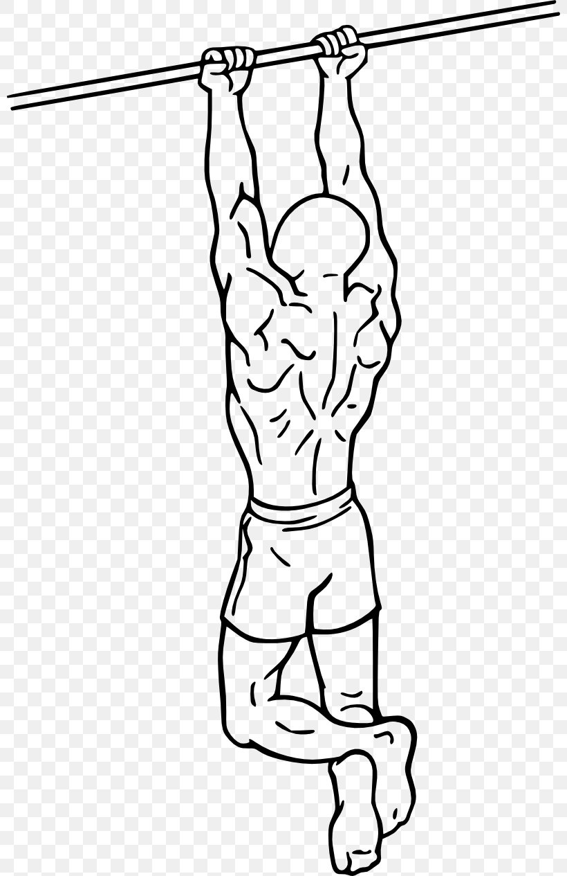 Chin-up Pull-up Biceps Curl Exercise, PNG, 800x1265px, Watercolor, Cartoon, Flower, Frame, Heart Download Free